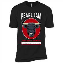 Load image into Gallery viewer, Pearl Jam T-shirt Chicago Wrigley Field Large 2018 Tour Bulls Pj New