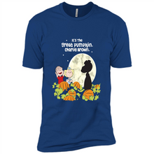 Load image into Gallery viewer, It’s-The-Great-Pumpkin-Charlie-Brown-and-Friends